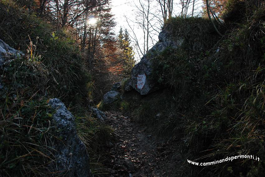 09 12980 Passo Sappli.jpg